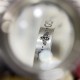 GUCCI Gucci Ring 2023SS Easy to wear GUCCI Gucci Ring 2023SS Easy to wear