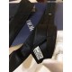 2023SS Summer new work rush of fans Necktie DIOR Dior 2023SS Summer new work rush of fans Necktie DIOR Dior