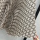 2023FW Pleated Skirt CELINE Cool Item 2023FW Pleated Skirt CELINE Cool Item