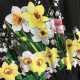 DOLCE & GABBANA Dolce & Gabbana 2023SS quality assurance latest dress DOLCE & GABBANA Dolce & Gabbana 2023SS quality assurance latest dress