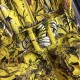 DIOR Dior 2023SS One Piece Popular ☆ Recommended for Summer DIOR Dior 2023SS One Piece Popular ☆ Recommended for Summer