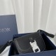 DIOR Dior 2023SS shoulder bag The strongest item in spring DIOR Dior 2023SS shoulder bag The strongest item in spring