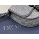 DIOR Dior 2023SS shoulder bag Best new work of the season DIOR Dior 2023SS shoulder bag Best new work of the season