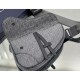 DIOR Dior 2023SS shoulder bag gaining outstanding popularity DIOR Dior 2023SS shoulder bag gaining outstanding popularity