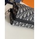 DIOR Dior 2023SS shoulder bag overseas limited spring and summer arrival DIOR Dior 2023SS shoulder bag overseas limited spring and summer arrival