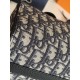 DIOR Dior 2023SS shoulder bag overseas limited spring and summer arrival DIOR Dior 2023SS shoulder bag overseas limited spring and summer arrival
