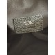 DIOR Dior 2023SS shoulder bag overseas limited spring and summer arrival DIOR Dior 2023SS shoulder bag overseas limited spring and summer arrival