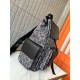 DIOR Dior 2023SS backpack limited quantity SALE price DIOR Dior 2023SS backpack limited quantity SALE price