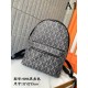 DIOR Dior 2023SS backpack full of fashion DIOR Dior 2023SS backpack full of fashion