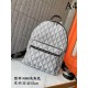 DIOR Dior 2023SS backpack full of fashion DIOR Dior 2023SS backpack full of fashion