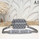 Next hit inevitable brand 2023SS DIOR Dior shoulder bag Next hit inevitable brand 2023SS DIOR Dior shoulder bag