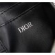 2023SS DIOR Dior shoulder bag with eye-catching design 2023SS DIOR Dior shoulder bag with eye-catching design