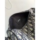 DIOR Shoulder bag 2023FW A statement every season DIOR Shoulder bag 2023FW A statement every season