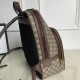 GUCCI Gucci Backpack 2023FW Like a beautiful winter color GUCCI Gucci Backpack 2023FW Like a beautiful winter color