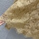 2023FW Lace Shirt DOLCE & GABBANA Dolce & Gabbana Hot Spot 2023FW Lace Shirt DOLCE & GABBANA Dolce & Gabbana Hot Spot