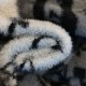 2023FW LOUIS VUITTON Latest love at first sight pullover knit 2023FW LOUIS VUITTON Latest love at first sight pullover knit