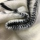 2023FW VALENTINO Valentino 100% new sweater 2023FW VALENTINO Valentino 100% new sweater
