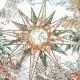 DIOR Dior short-sleeved T-shirt 2023SS definitely recommended popular new work DIOR Dior short-sleeved T-shirt 2023SS definitely recommended popular new work