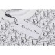 DIOR Dior short-sleeved T-shirt 2023SS summer must-have item DIOR Dior short-sleeved T-shirt 2023SS summer must-have item