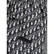 DIOR Dior new work sudden price cut! 2023SS casual shorts DIOR Dior new work sudden price cut! 2023SS casual shorts