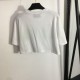 Overseas customer-limited advance sale short-sleeved T-shirt 2023SS GUCCI Gucci Overseas customer-limited advance sale short-sleeved T-shirt 2023SS GUCCI Gucci