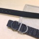 Belt with the impression of a fashionable senior 2023SS DIOR Dior Belt with the impression of a fashionable senior 2023SS DIOR Dior