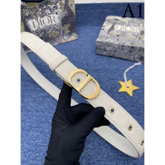 Summer New Belt 2023SS DIOR Dior that transcends borders and times Summer New Belt 2023SS DIOR Dior that transcends borders and times
