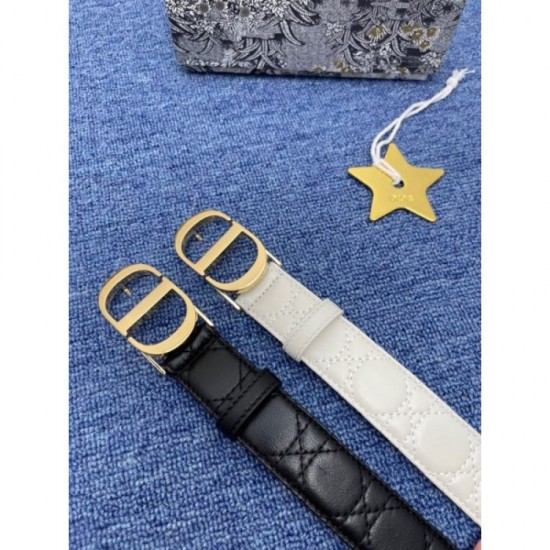 Summer New Belt 2023SS DIOR Dior that transcends borders and times Summer New Belt 2023SS DIOR Dior that transcends borders and times