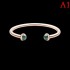 2023SS bracelet logo is cool PIAGET Piaget