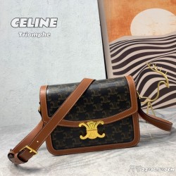 2023SS CELINE Celine valuable item shoulder bag