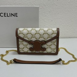 2023SS CELINE LIMITED EDITION PRINT SHOULDER BAG