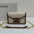 2023SS CELINE LIMITED EDITION PRINT SHOULDER BAG