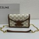 2023SS CELINE LIMITED EDITION PRINT SHOULDER BAG 2023SS CELINE LIMITED EDITION PRINT SHOULDER BAG
