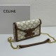 2023SS CELINE LIMITED EDITION PRINT SHOULDER BAG 2023SS CELINE LIMITED EDITION PRINT SHOULDER BAG