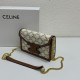 2023SS CELINE LIMITED EDITION PRINT SHOULDER BAG 2023SS CELINE LIMITED EDITION PRINT SHOULDER BAG