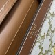 2023SS CELINE LIMITED EDITION PRINT SHOULDER BAG 2023SS CELINE LIMITED EDITION PRINT SHOULDER BAG