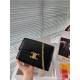 CELINE Shoulder Bag 2023FW No. 1 in total cumulative sales CELINE Shoulder Bag 2023FW No. 1 in total cumulative sales