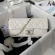 CHANEL shoulder bag 2023FW cool item CHANEL shoulder bag 2023FW cool item