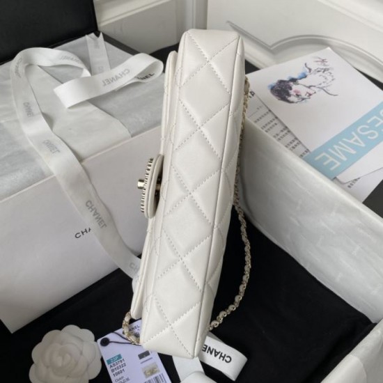 CHANEL shoulder bag 2023FW cool item CHANEL shoulder bag 2023FW cool item