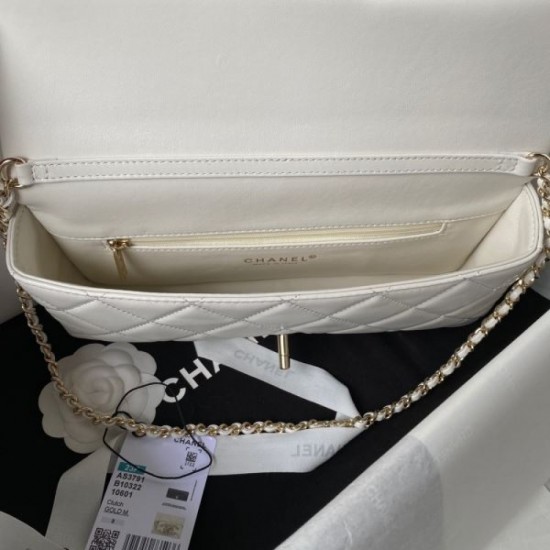 CHANEL shoulder bag 2023FW cool item CHANEL shoulder bag 2023FW cool item