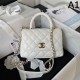 CHANEL Tote Bag 2023FW Gentle luxury popular colors CHANEL Tote Bag 2023FW Gentle luxury popular colors