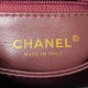 CHANEL Tote Bag 2023FW Gentle luxury popular colors CHANEL Tote Bag 2023FW Gentle luxury popular colors
