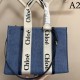 2023SS CHLOE Chloe Spring/Summer Pre-sale New Tote Bag 2023SS CHLOE Chloe Spring/Summer Pre-sale New Tote Bag