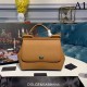 DOLCE & GABBANA Dolce & Gabbana Tote Bag 2023FW Frontline New Item DOLCE & GABBANA Dolce & Gabbana Tote Bag 2023FW Frontline New Item