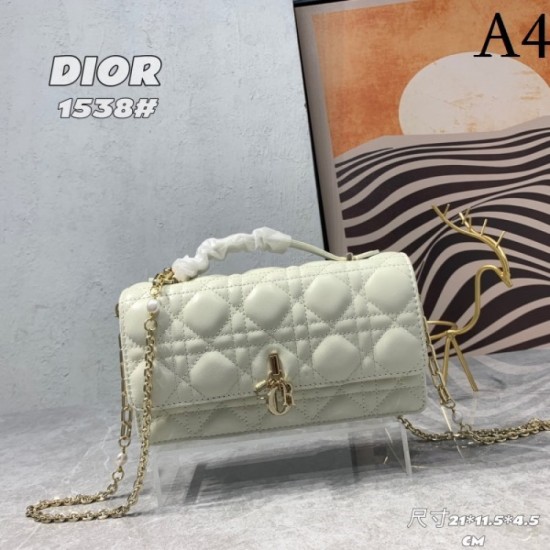 2023SS DIOR Dior Popular model tote bag in Japan 2023SS DIOR Dior Popular model tote bag in Japan