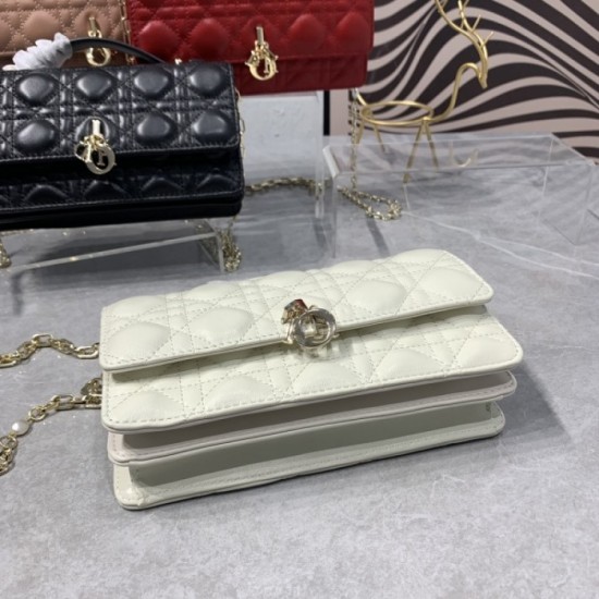 2023SS DIOR Dior Popular model tote bag in Japan 2023SS DIOR Dior Popular model tote bag in Japan