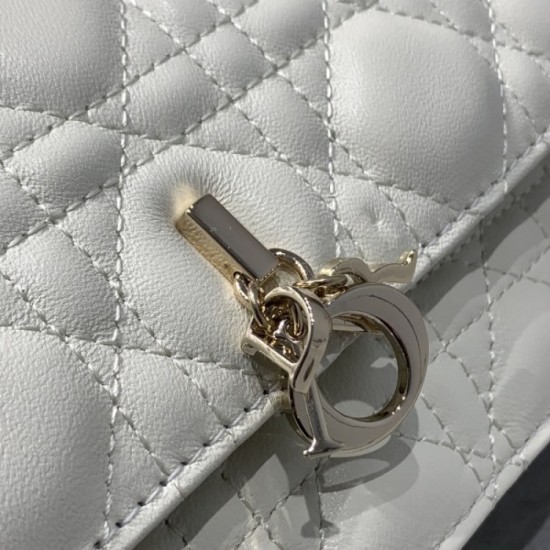 2023SS DIOR Dior Popular model tote bag in Japan 2023SS DIOR Dior Popular model tote bag in Japan