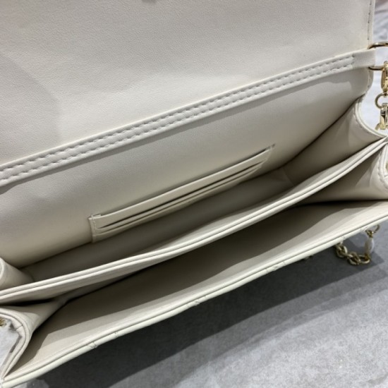 2023SS DIOR Dior Popular model tote bag in Japan 2023SS DIOR Dior Popular model tote bag in Japan