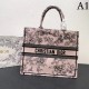 2023SS DIOR Dior Tote bag that is sure to be a big success this year 2023SS DIOR Dior Tote bag that is sure to be a big success this year