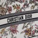 2023SS DIOR Dior Tote bag that is sure to be a big success this year 2023SS DIOR Dior Tote bag that is sure to be a big success this year